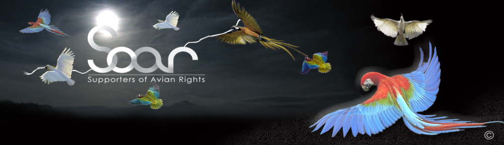 Supporters of Avian Rights